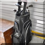 L20. Golf clubs and cobra bag. 